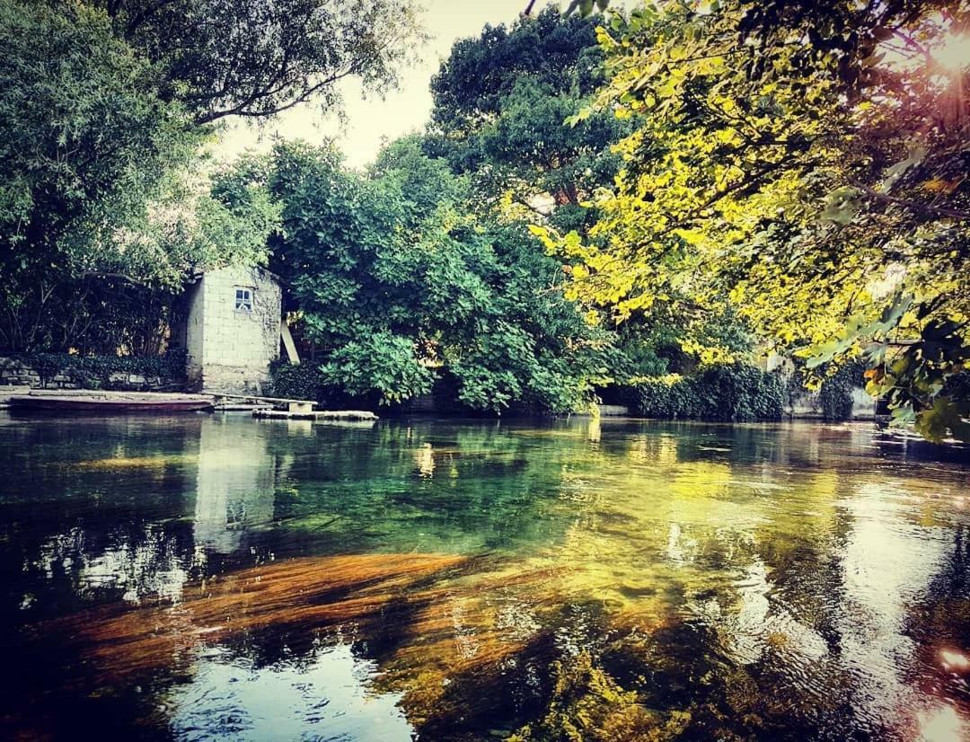 Mas Et Gite De La Picholine L'Isle-sur-la-Sorgue Exterior photo